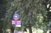 dsc_5091_fs_small.jpg