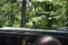 dsc_5094_fs_small.jpg