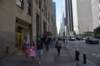 dsc_5411_fs_small.jpg