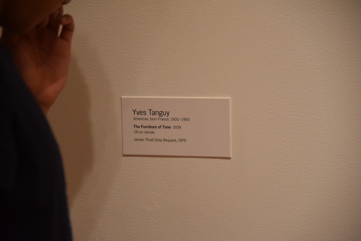 dsc_5695_fs.jpg