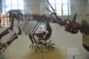 dsc_5808_fs_small.jpg