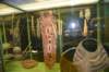 dsc_5838_fs_small.jpg