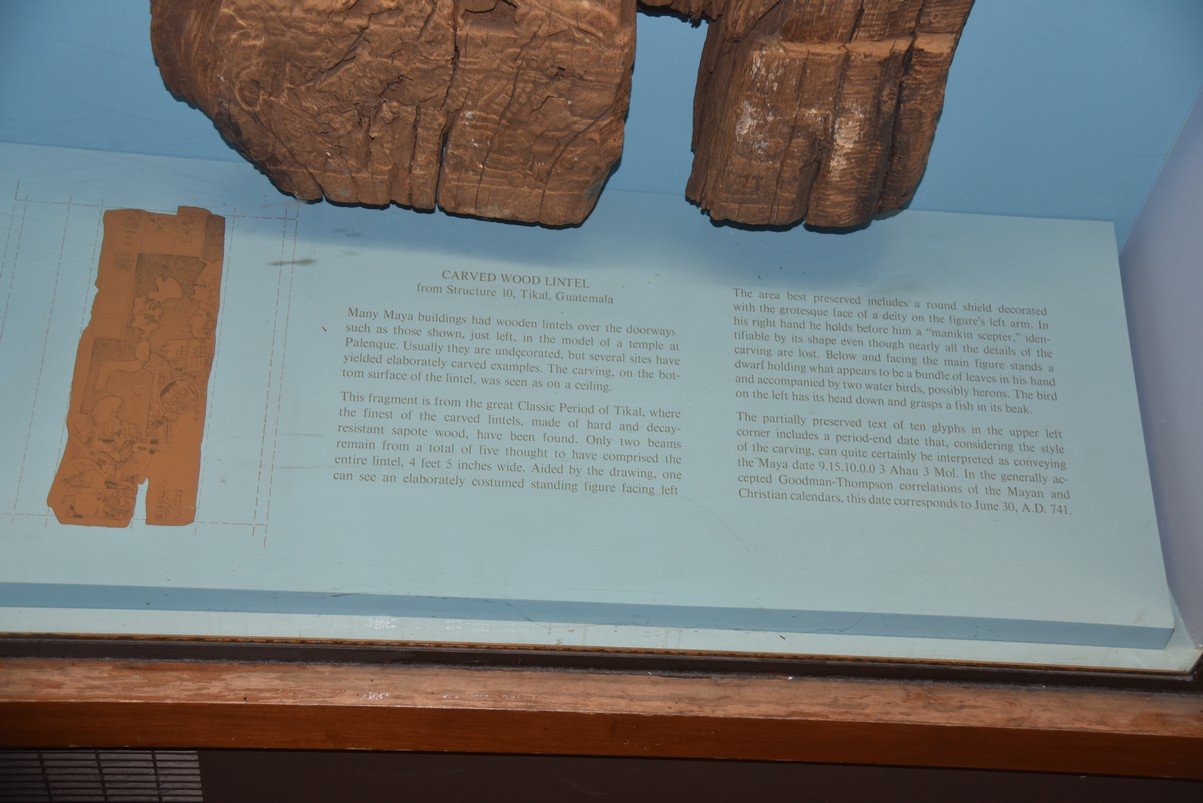 dsc_5880_fs.jpg