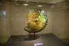 dsc_5890_fs_small.jpg