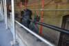 dsc_5918_fs_small.jpg