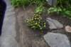 dsc_0819_fs_small.jpg