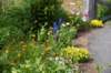 dsc_0822_fs_small.jpg