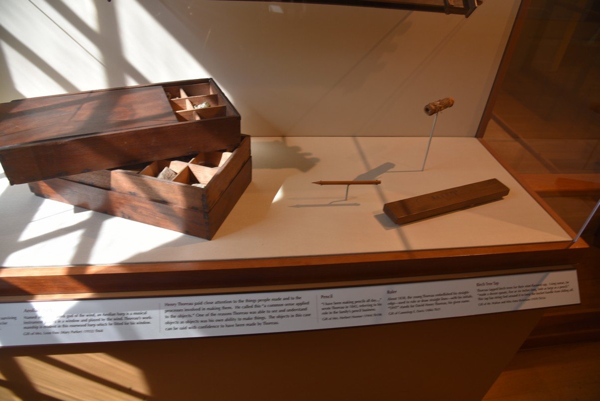 dsc_0889_fs.jpg