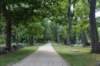 dsc_0956_fs_small.jpg
