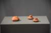 dsc_6214_fs_small.jpg