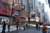 dsc_6401_fs_small.jpg