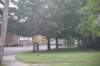 dsc_6456_fs_small.jpg