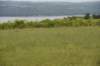 dsc_6512cayugalake_small.jpg