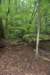 dsc_6537_fs_small.jpg