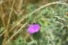 dsc_6701_fs_small.jpg