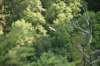 dsc_6959_fs_small.jpg