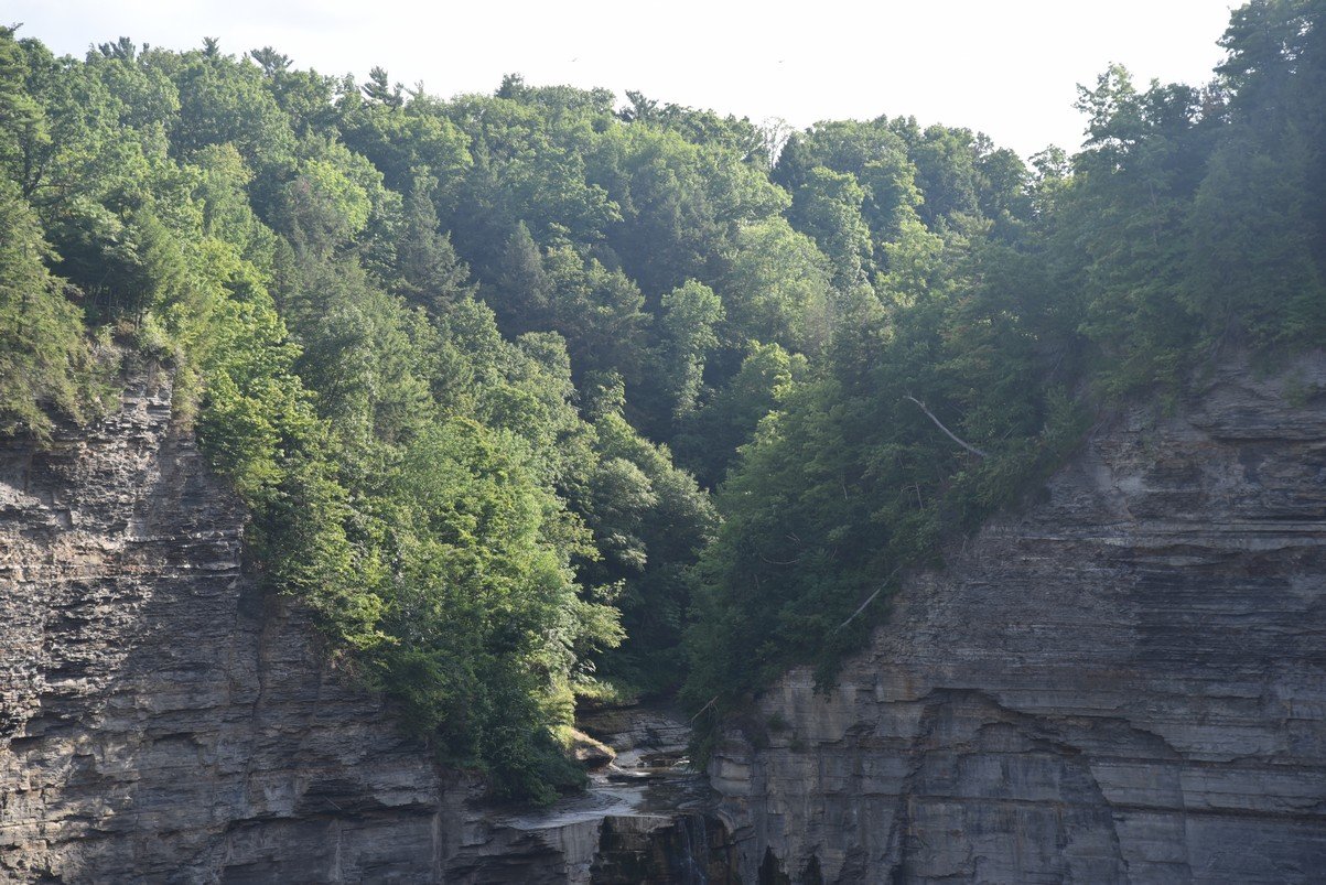 dsc_6964_fs.jpg