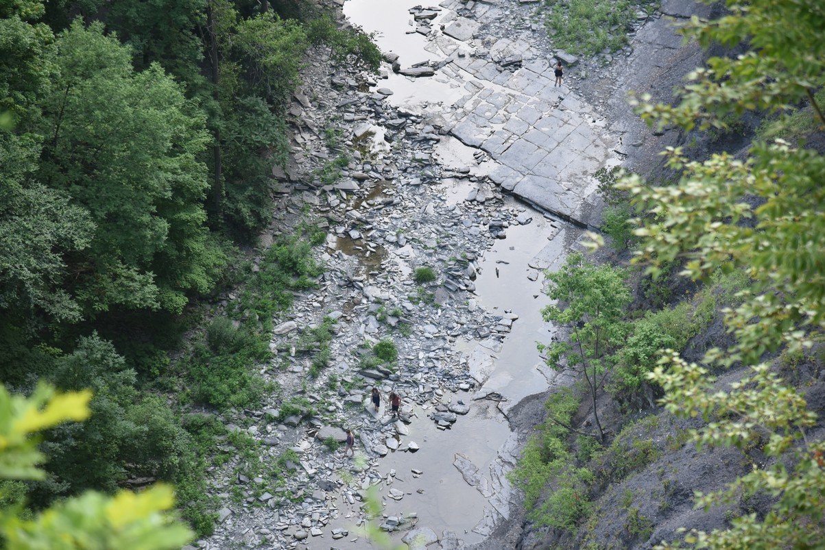 dsc_6972_fs.jpg