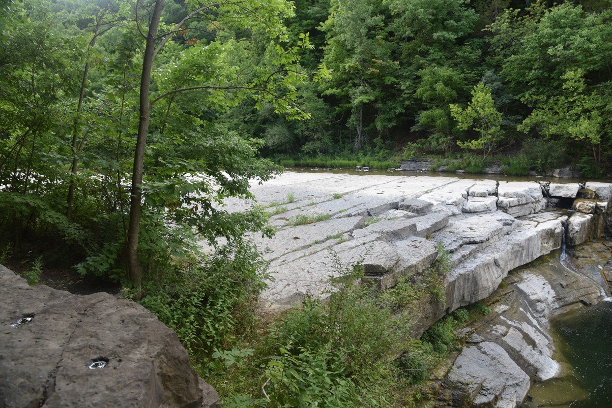 dsc_6980_fs.jpg