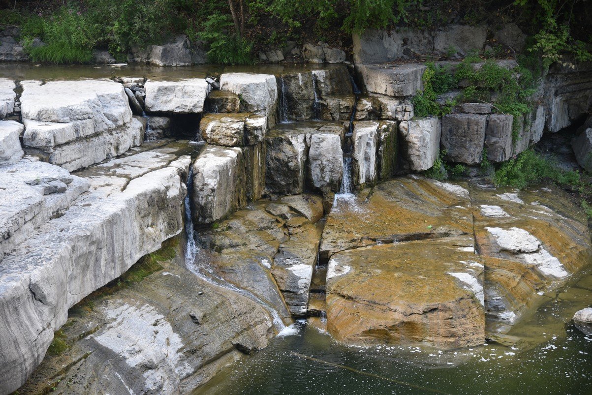 dsc_6984_fs.jpg