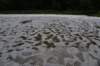 dsc_6988_fs_small.jpg