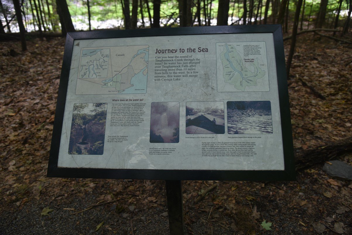 dsc_7016_fs.jpg