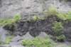 dsc_7022_fs_small.jpg