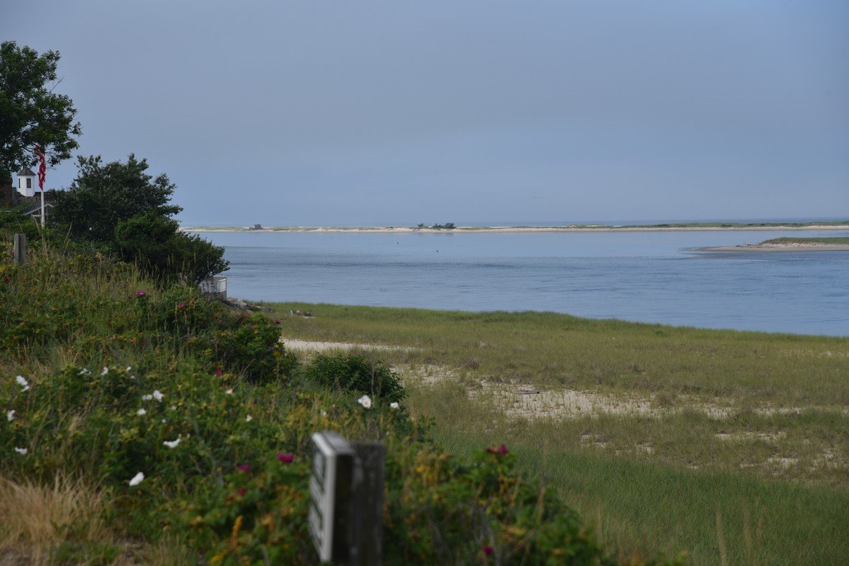 dsc_1861_fs.jpg
