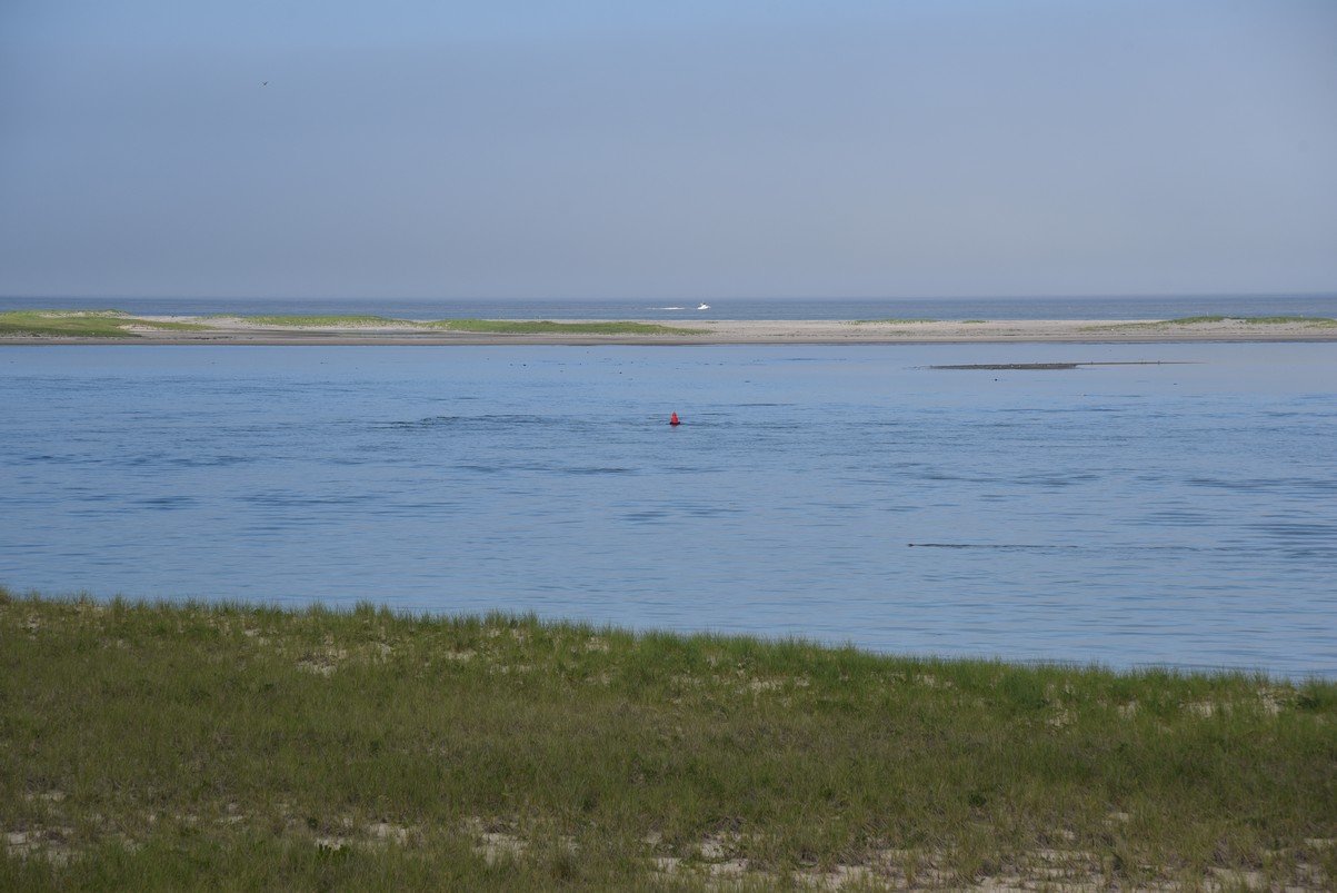 dsc_1865_fs.jpg