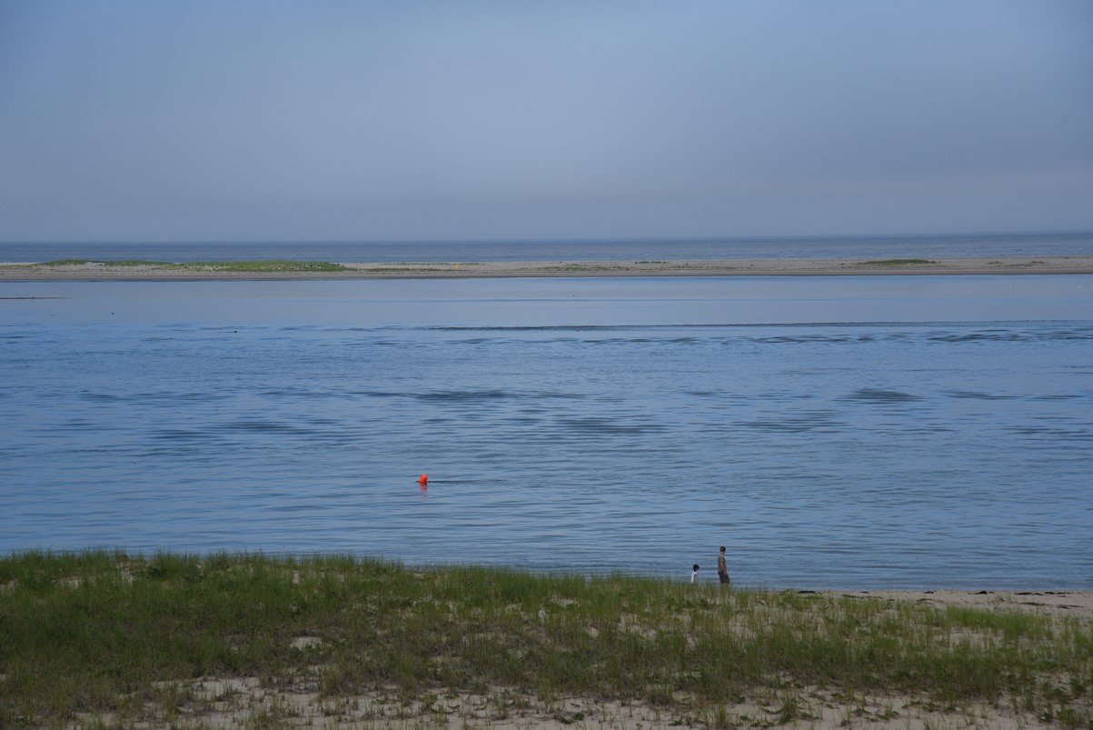 dsc_1867_fs.jpg