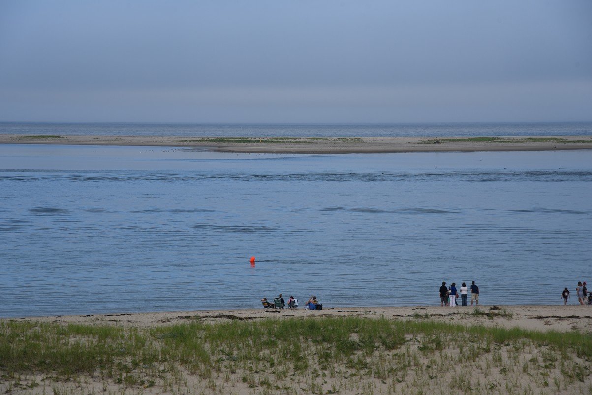 dsc_1869_fs.jpg