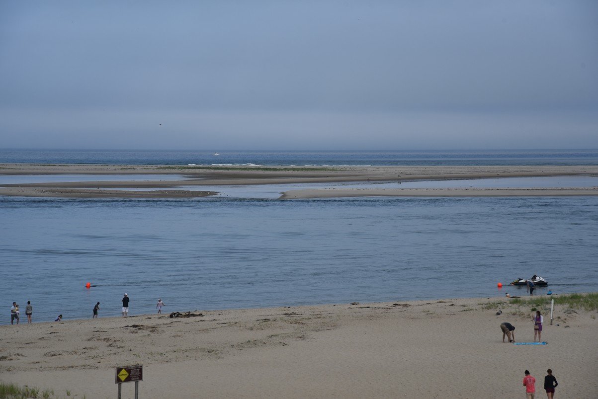 dsc_1871_fs.jpg
