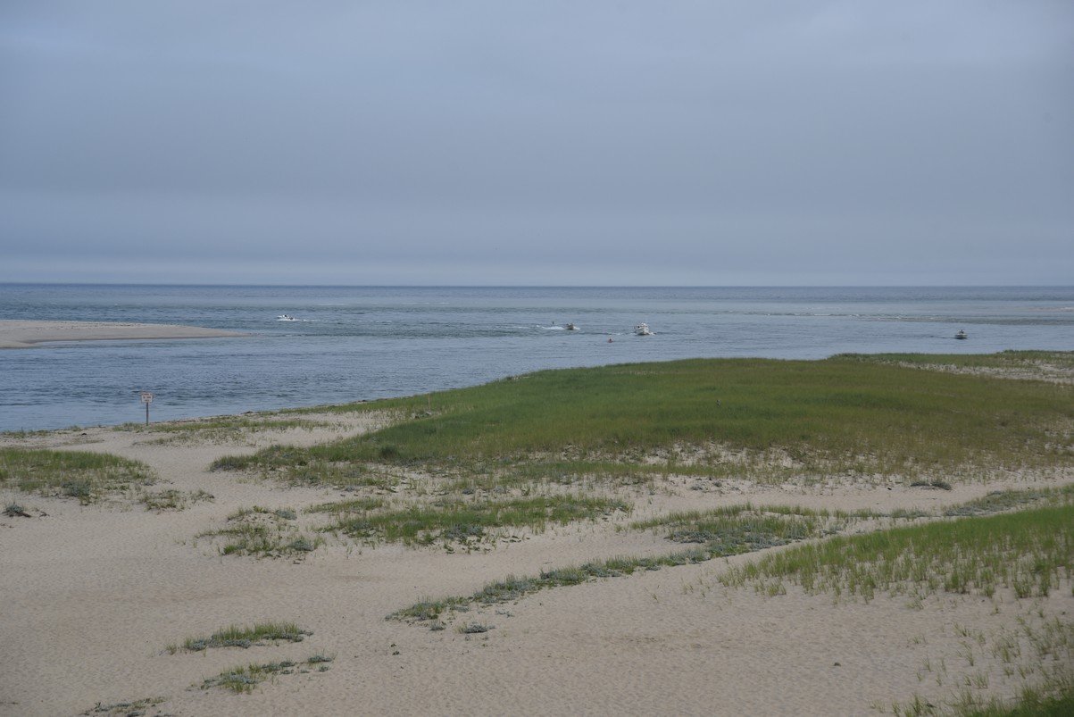 dsc_1875_fs.jpg