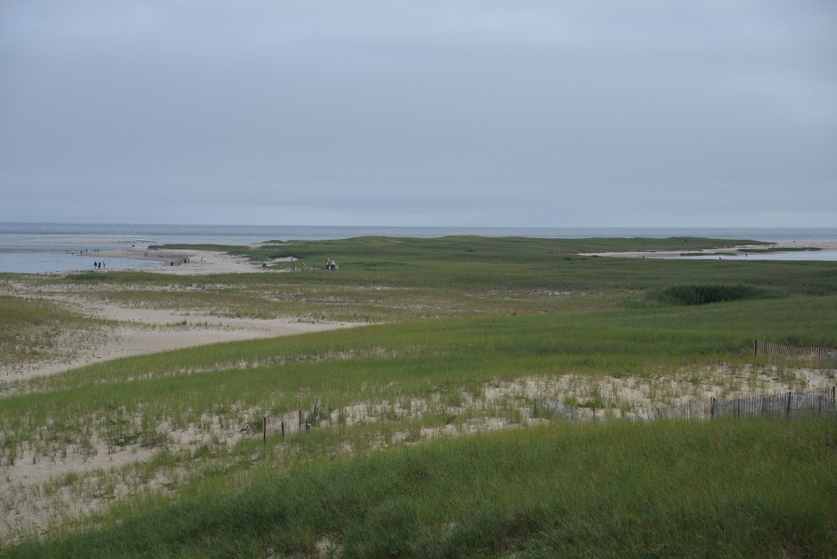 dsc_1877_fs.jpg