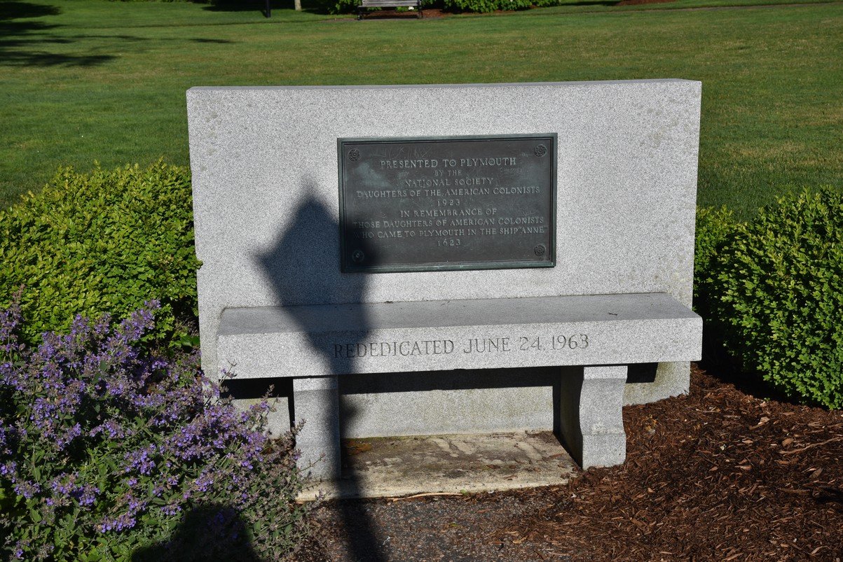 dsc_1980_fs.jpg