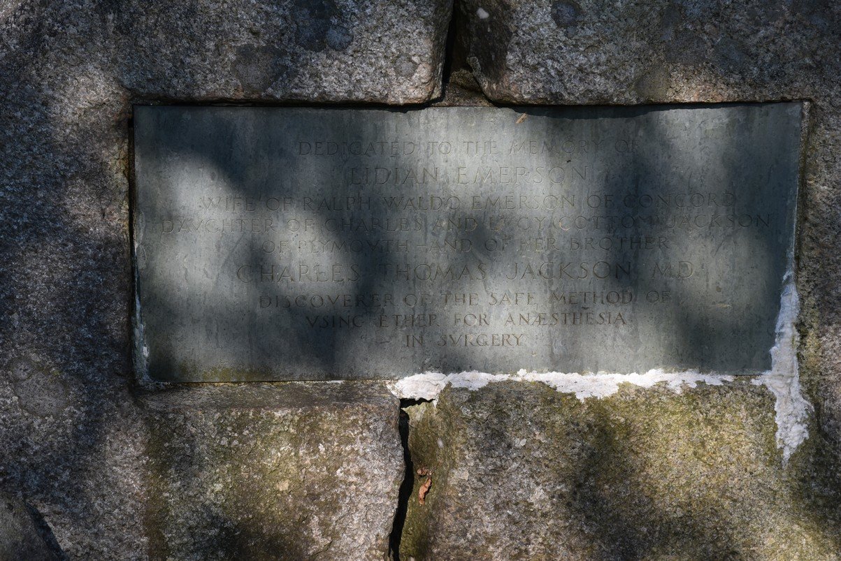 dsc_1992_fs.jpg