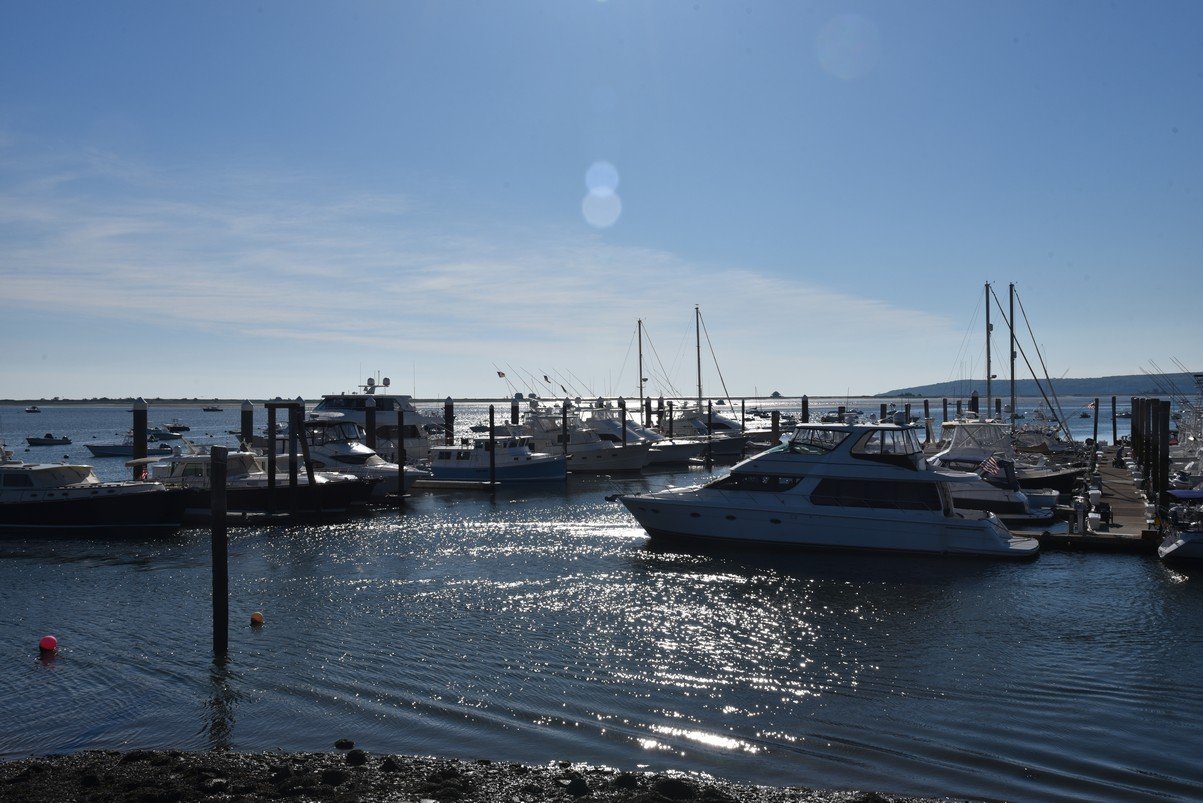 dsc_2012_fs.jpg