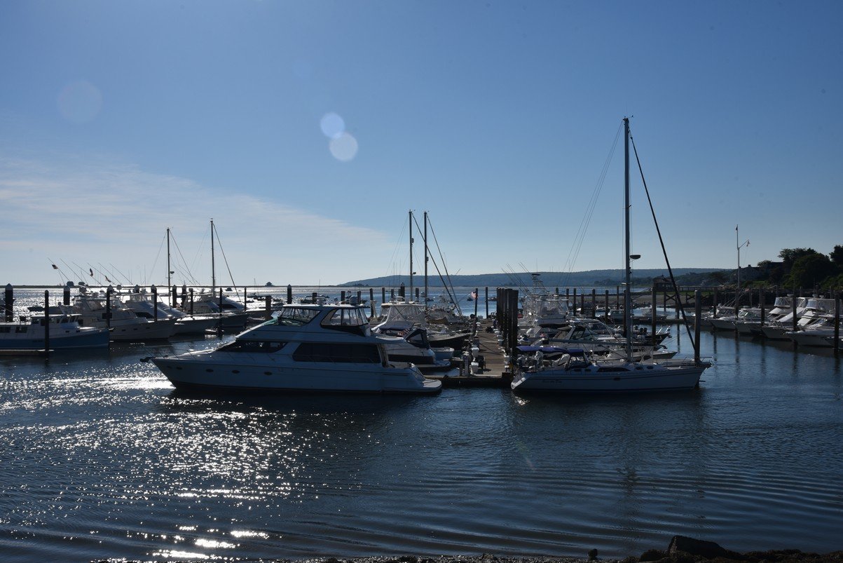 dsc_2013_fs.jpg