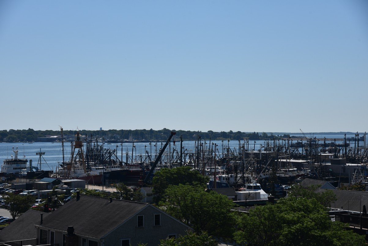 dsc_2177_fs.jpg