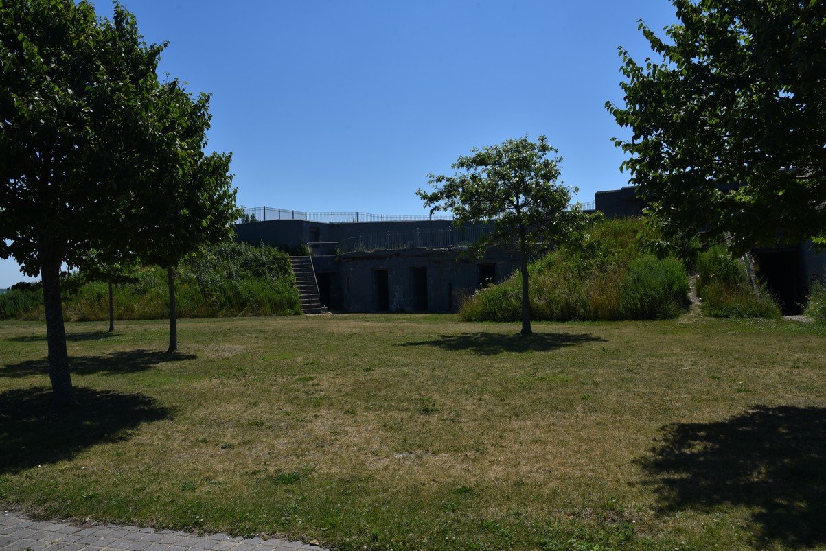 dsc_2215_fs.jpg