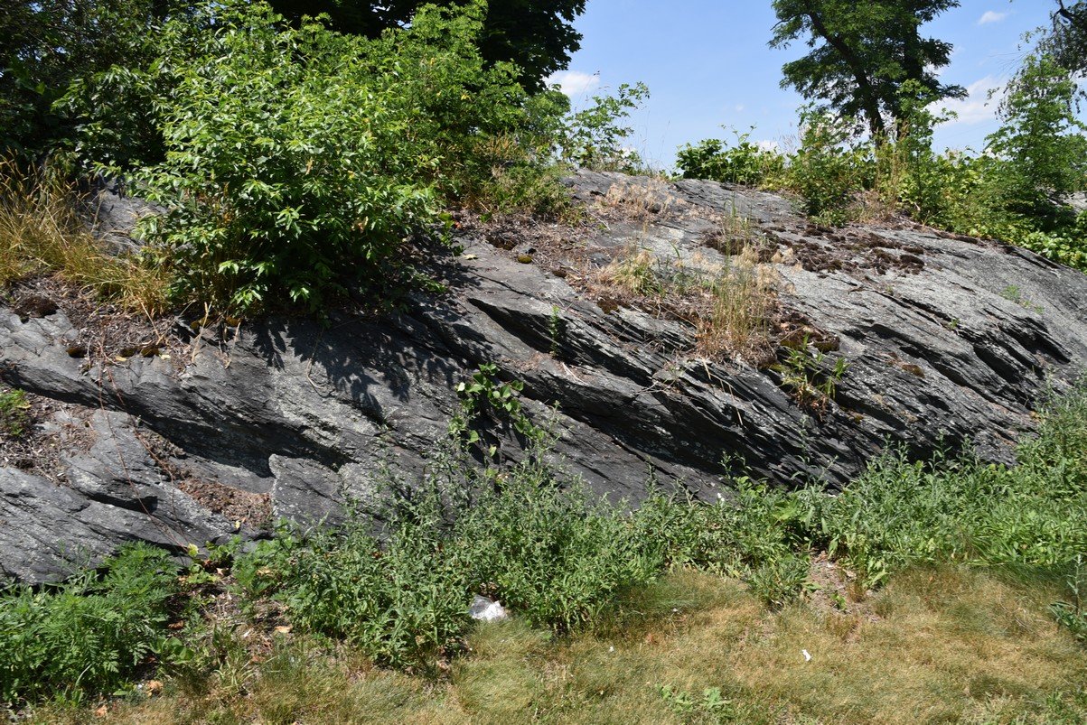 dsc_2240_fs.jpg