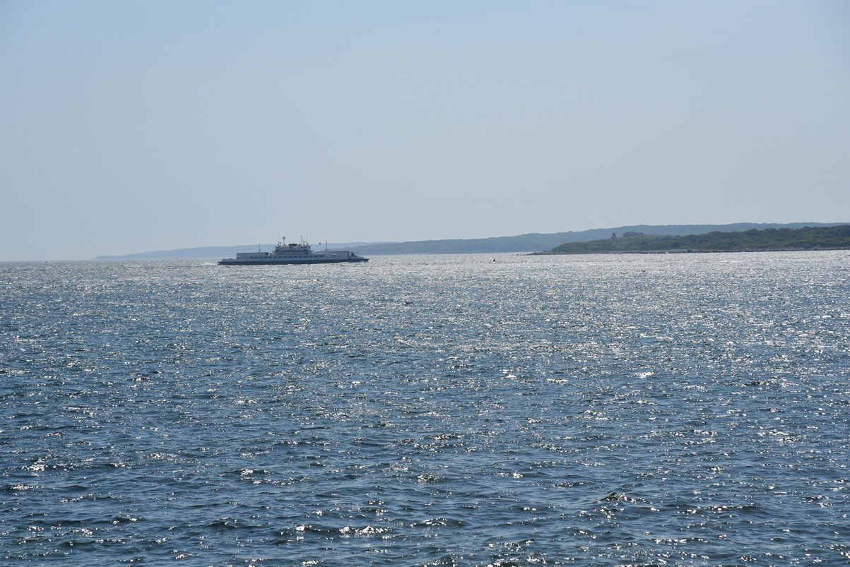 dsc_2299_fs.jpg