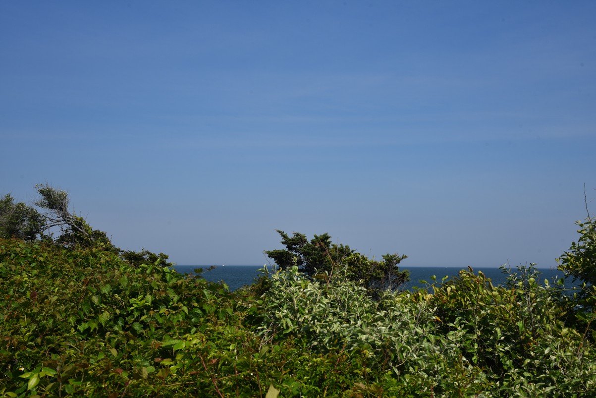 dsc_2308_fs.jpg