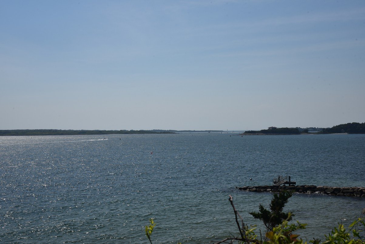 dsc_2318_fs.jpg