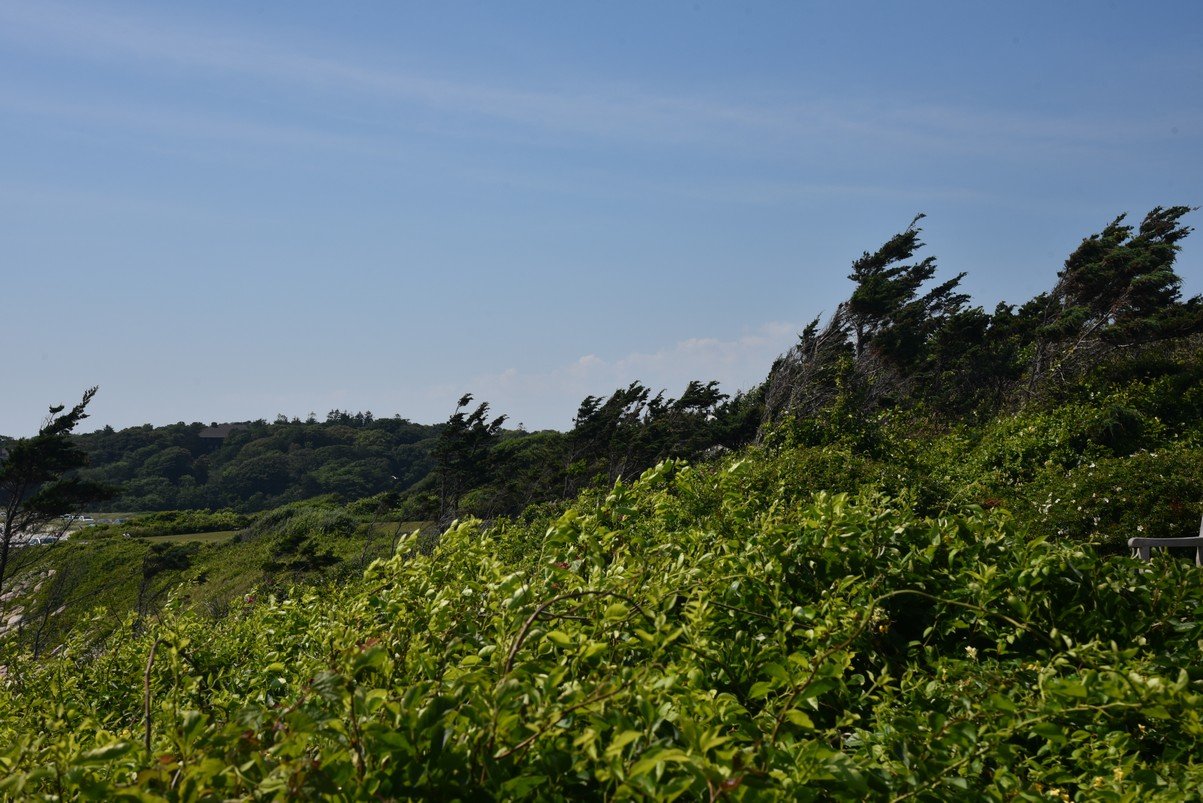 dsc_2321_fs.jpg