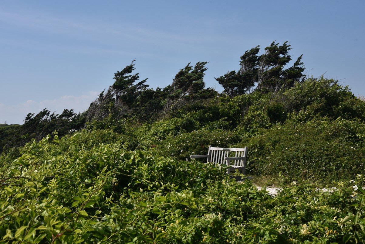 dsc_2322_fs.jpg
