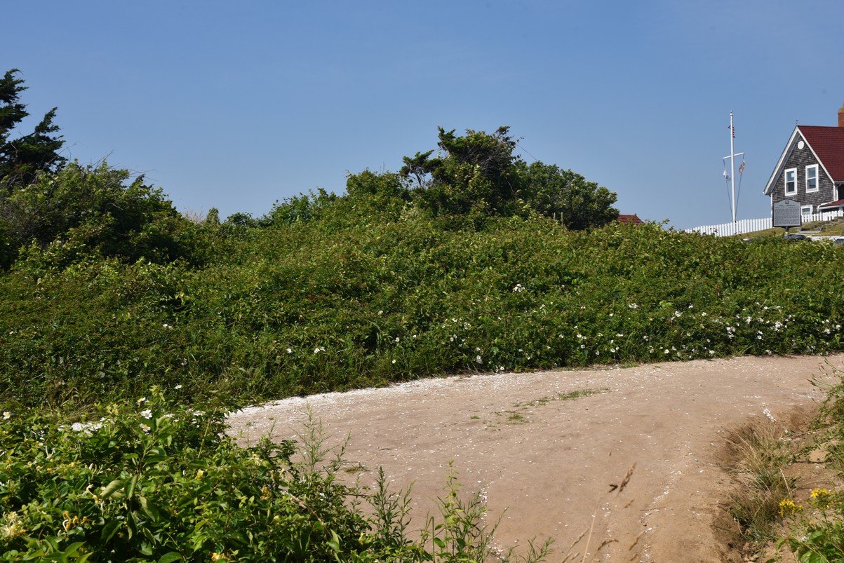 dsc_2324_fs.jpg