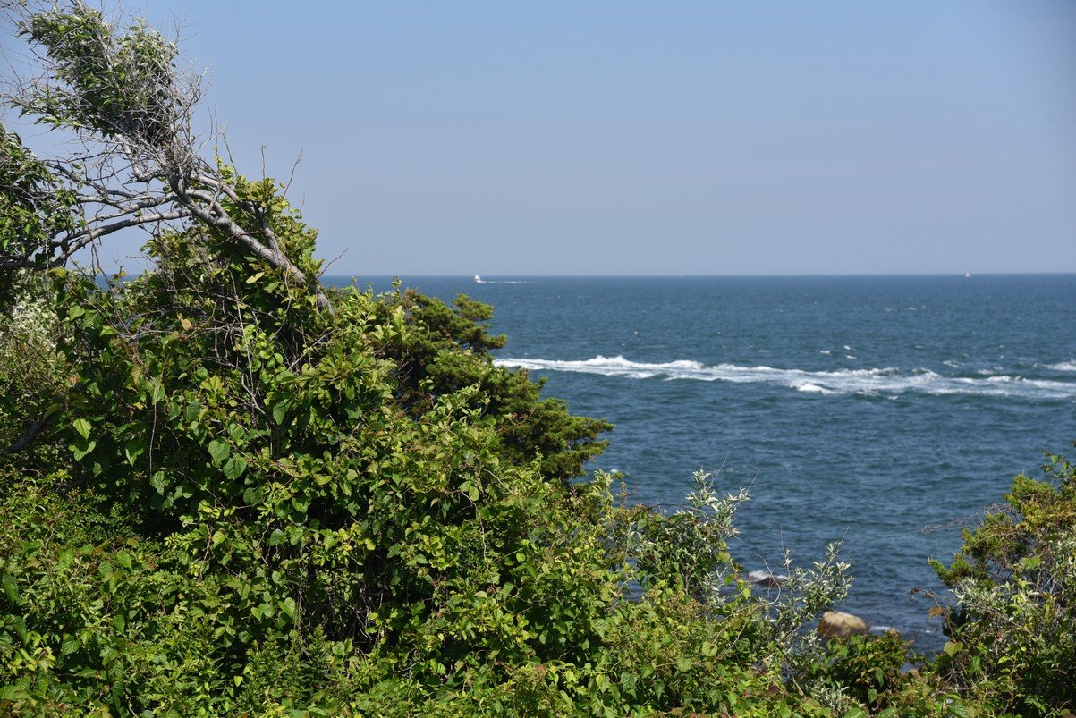 dsc_2328_fs.jpg