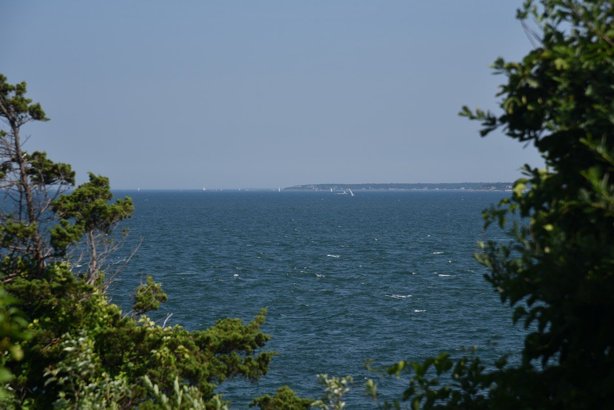 dsc_2354_fs.jpg