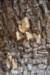 dsc_2411_fs_small.jpg